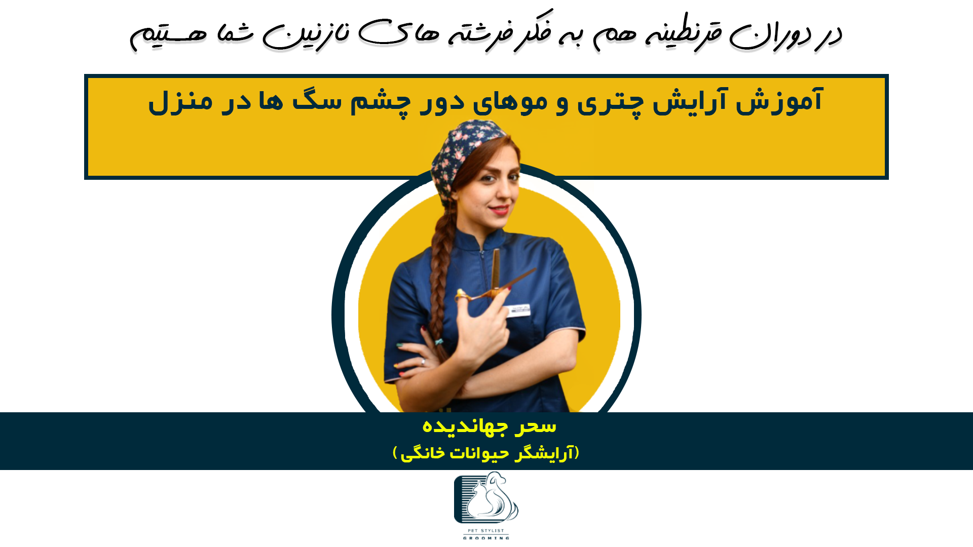 آرایش چتری و موهای دور چشم سگها در منزل